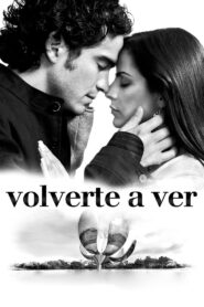 Volverte a ver 2008 on netflix