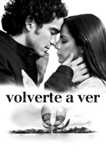 Volverte a ver 2008 on netflix