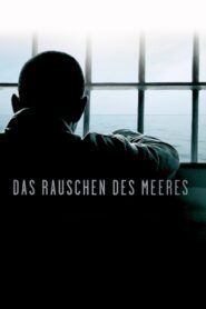 The Roar of the Sea 2010 on netflix