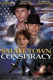 Small Town Conspiracy 2003 on netflix