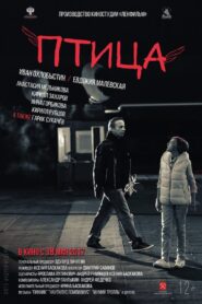 The Bird 2017 on netflix