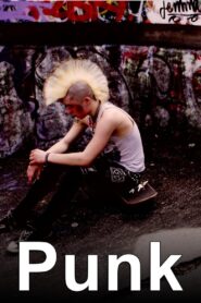 Punk 2012 on netflix