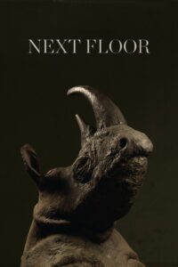 Next Floor 2008 on netflix
