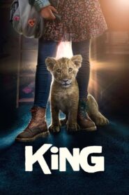 King 2022 on netflix