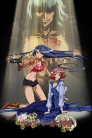 Sisters of Wellber – Elegy for a Sad Warrior 2007 on netflix