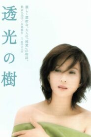 Translucent Tree 2004 on netflix