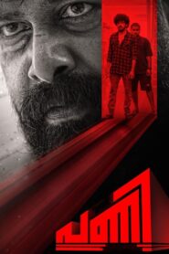 Pani 2024 on netflix