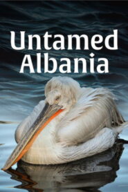 Untamed Albania 2018 on netflix