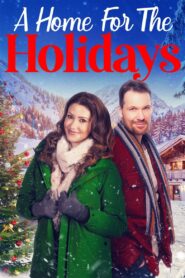 A Home for the Holidays 2023 on netflix