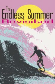 The Endless Summer Revisited 2000 on netflix