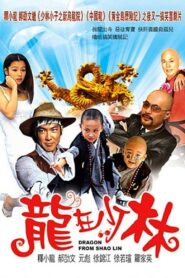 Dragon from Shaolin 1996 on netflix