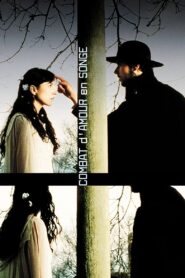 Love Torn in a Dream 2000 on netflix