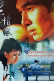 Enhanced Romance 1995 on netflix