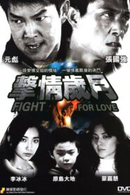 Fight for Love 2007 on netflix
