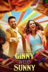 Ginny Weds Sunny 2020 on netflix