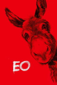 EO 2022 on netflix