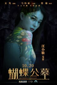 On Fallen Wings 2017 on netflix