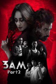 3 A.M. Part 2 2014 on netflix
