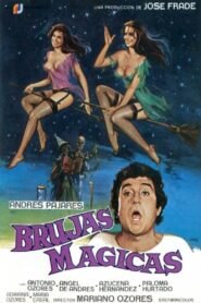 Magical Witches 1981 on netflix
