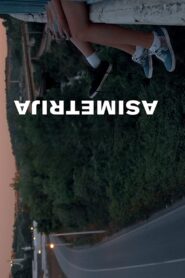 Asymmetry 2019 on netflix