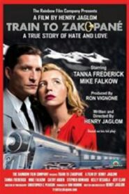 Train to Zakopané 2017 on netflix