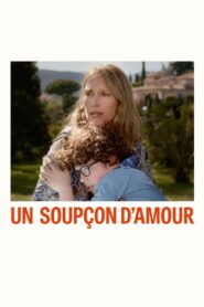 Un soupçon d’amour 2020 on netflix