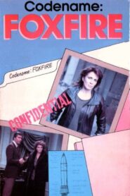 Code Name: Foxfire 1985 on netflix