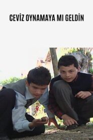 Ceviz Oynamaya Mı Geldin 2007 on netflix