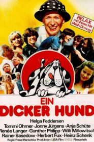 What a Mess 1982 on netflix