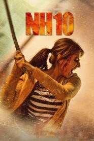 NH10 2015 on netflix