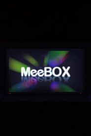 MeeBOX 2008 on netflix