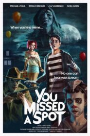 You Missed a Spot 2020 on netflix