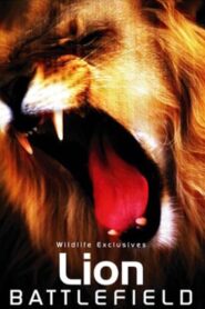 Lion Battlefield 2004 on netflix