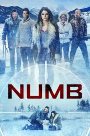 Numb 2015 on netflix