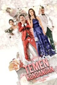 Wedding Partner 2020 on netflix