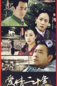 爱情二十年 2007 on netflix