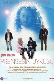 Sleeping Princess 2010 on netflix