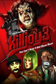 Killjoy 3 2010 on netflix
