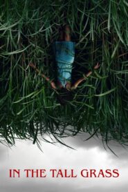 In the Tall Grass 2019 on netflix