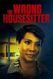 The Wrong House Sitter 2020 on netflix