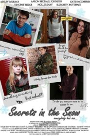 Secrets in the Snow 2013 on netflix