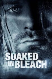 Soaked in Bleach 2015 on netflix