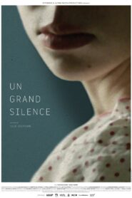 Veil of Silence 2016 on netflix