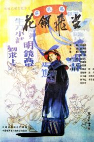 花翎飞盗 1989 on netflix