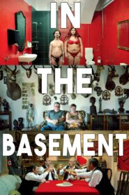 In the Basement 2014 on netflix