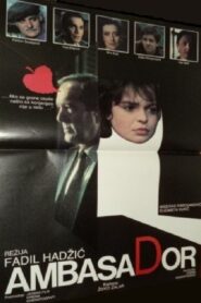 The Ambassador 1984 on netflix