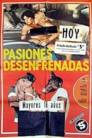 Unbridled Passions 1981 on netflix