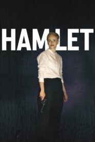 Hamlet 2015 on netflix