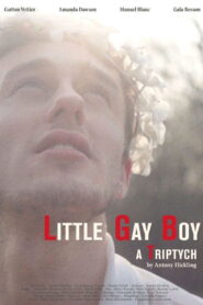Little Gay Boy 2013 on netflix