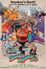 Smokey and the Bandit Part 3 1983 on netflix